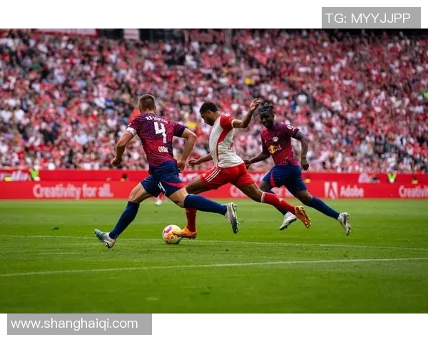 德甲主场热血澎湃，球迷助威声浪惊天动地