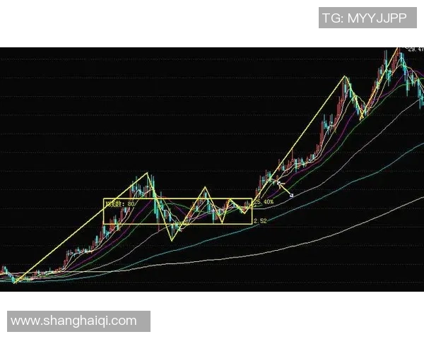 深入分析上海飞盘队防守反击战术的独特魅力与实战应用