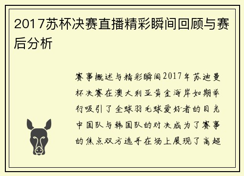 2017苏杯决赛直播精彩瞬间回顾与赛后分析